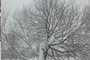 Invierno en el pueblo Soltanovo